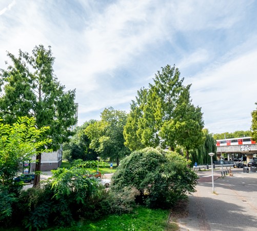 Funda HD formaat-17.jpg